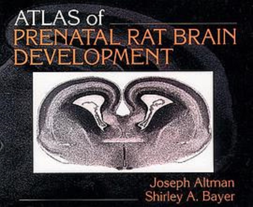 atlas of prenatal rat brain development