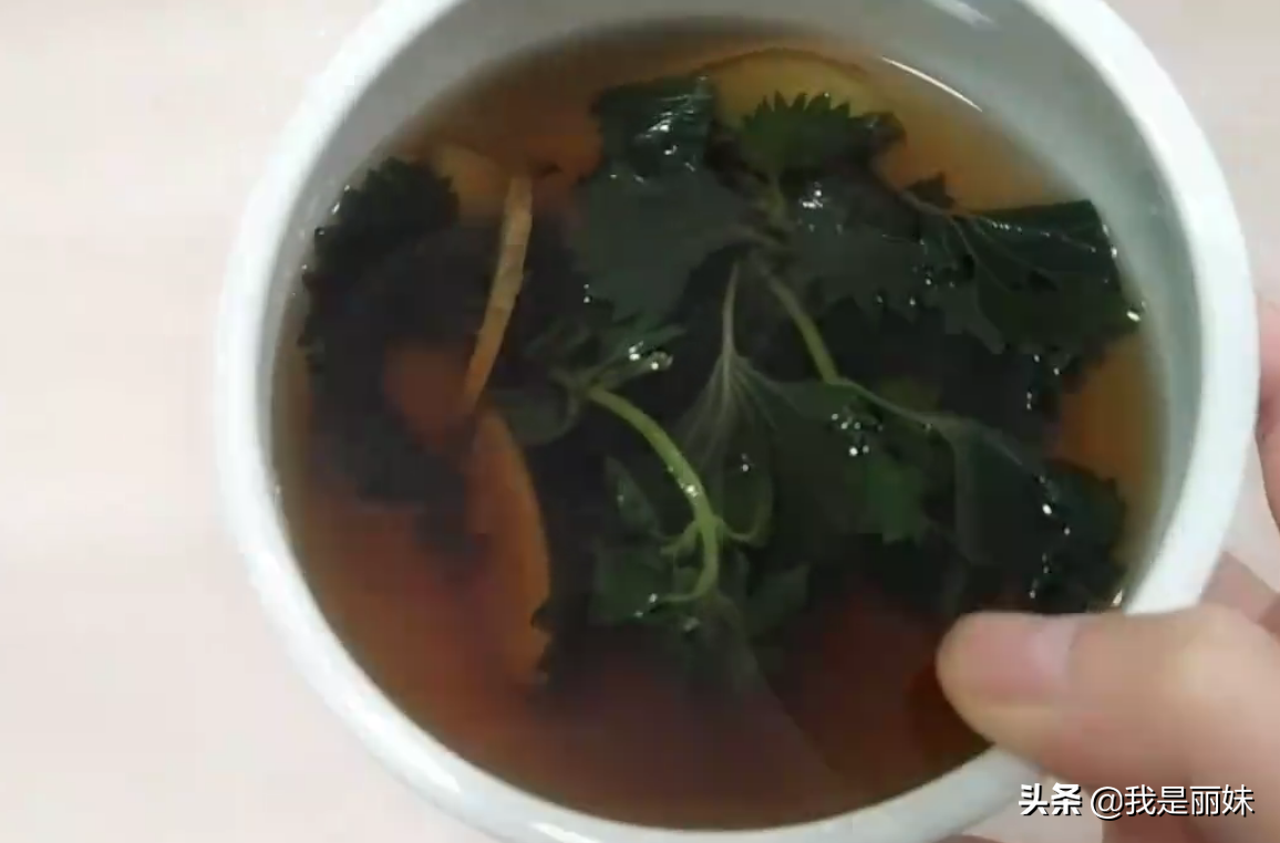 神仙叶“紫苏叶煮水”，4个煮水妙用，户外遇见记得摘回家_百科TA说