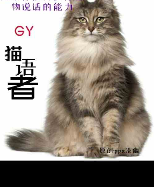 ky猫语者
