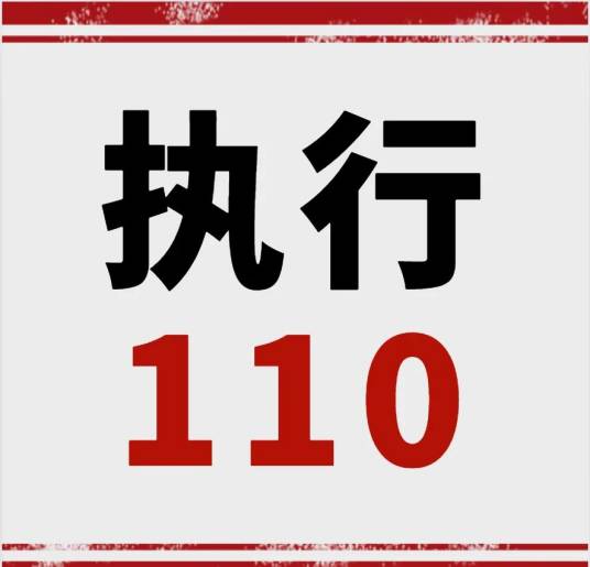 执行110_百度百科
