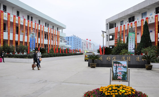 瑞安市湖岭镇中学