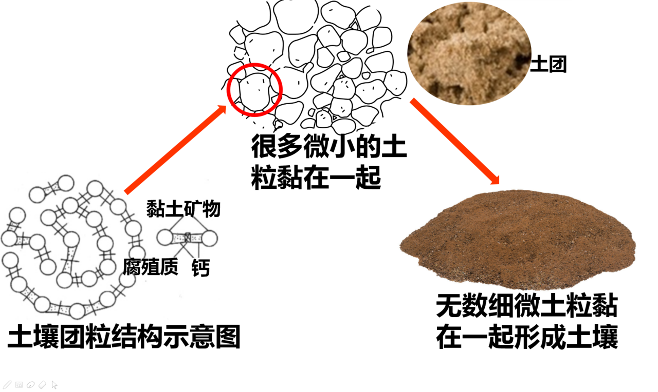 用以鉴定微团聚体在水中的稳定程度,它是土壤团聚化程度的一个指标.