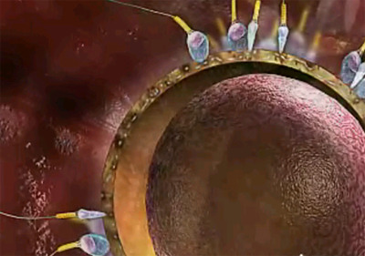  p data-id="ssogqcnksqtr">排卵(ovulation)是指成熟卵泡破裂,从卵泡