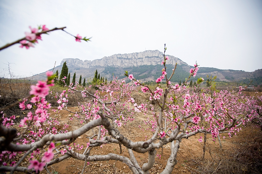 bof43">长清区,隶属 a target="_blank" href="/item/山东省/209822"