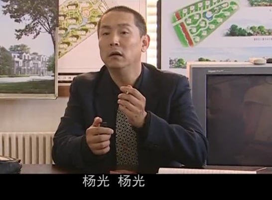 杨光的快乐生活第二部