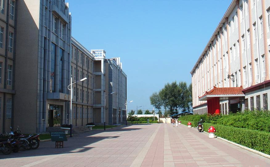 0ujwv8s">望奎县第一中学,2012年增名林枫中学,是绥化市市级示范高中