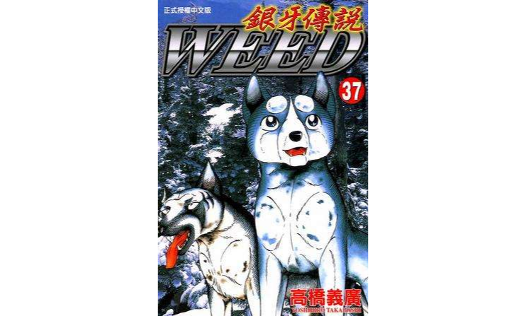银牙传说37