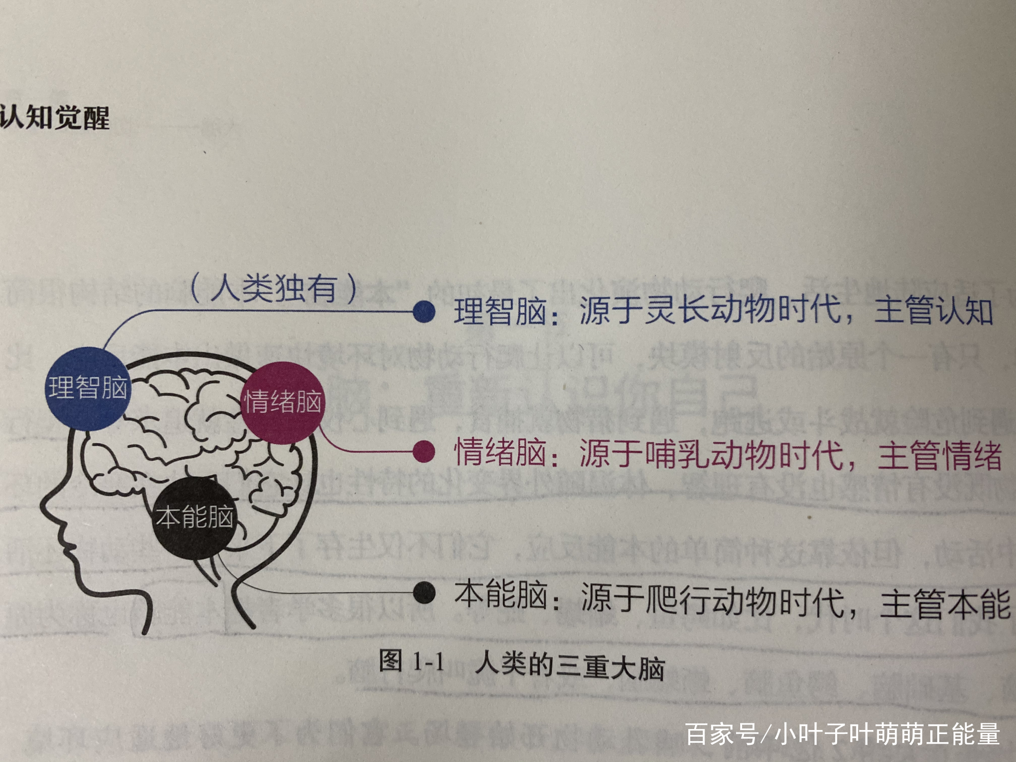 《认知觉醒》｜心智的蜕变是一种成长的美好_百科TA说