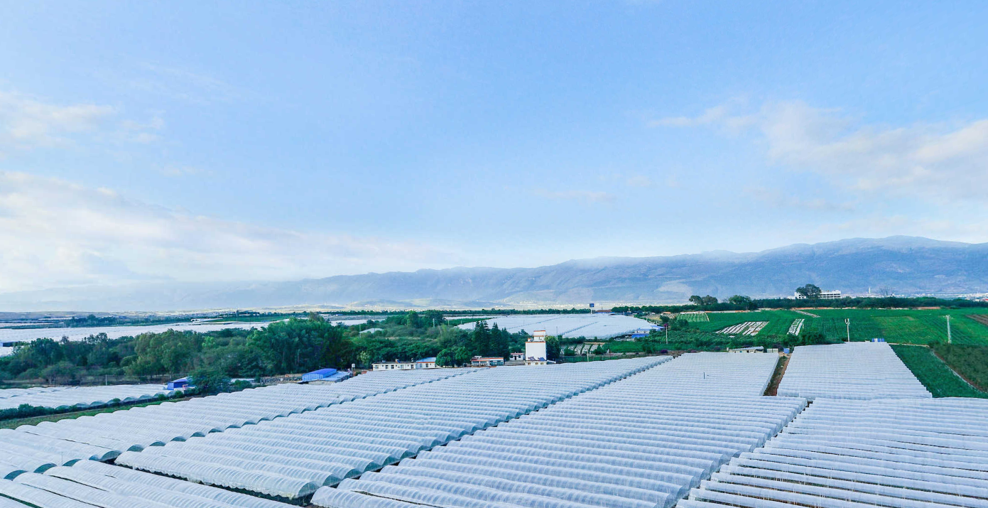 id="gnbxfoxmyj">巡检司镇,隶属于云南省红河哈尼族彝族自治州弥勒 