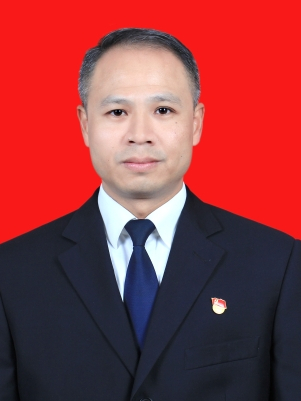 现任丽水市莲都区碧湖镇党委委员