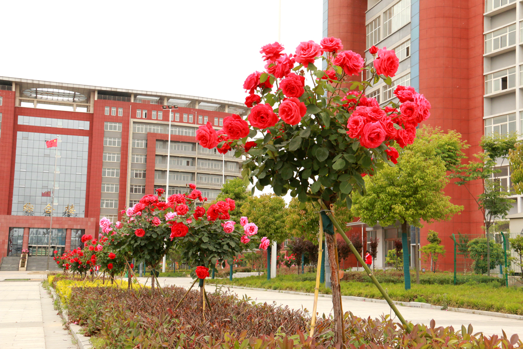  p>驻马店幼儿师范高等专科学校是经教育部备案成立的一所以培养,培训