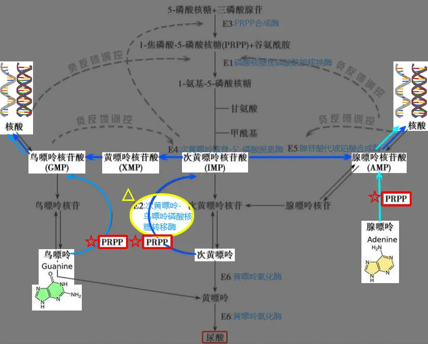 这种病痛堪比生娃，致病因子中80%来自自身_百科TA说