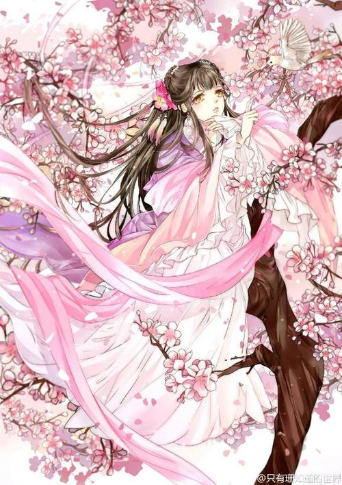 比肩神坛级言情小说 香蜜 招摇 美人如画 书迷熬夜追 百科ta说