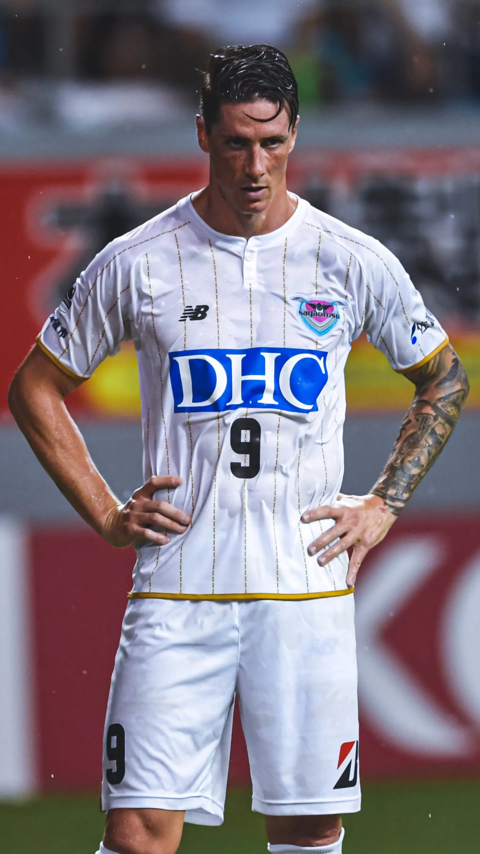 fernando jose torres sanz