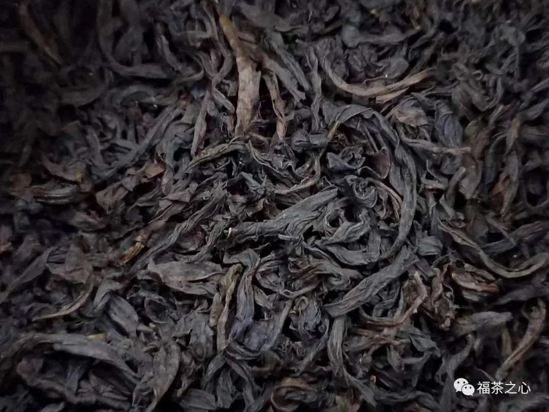 福建之茶 | 老枞水仙为何被武夷岩茶爱好者推崇_百科TA说