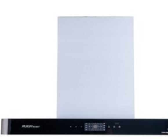  p>瑞贝格尔cxw-238-t30是一款抽油烟机. /p>