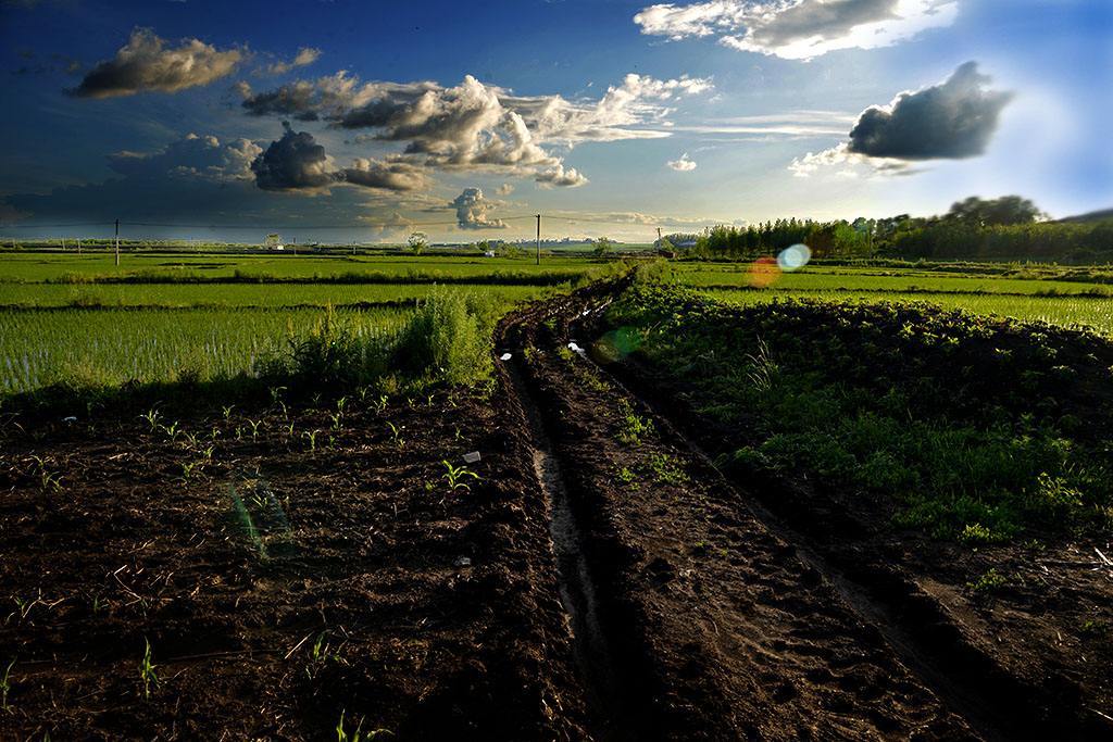  p>发育于高原亚热带草甸植被下的土壤.又称亚高山草甸土.