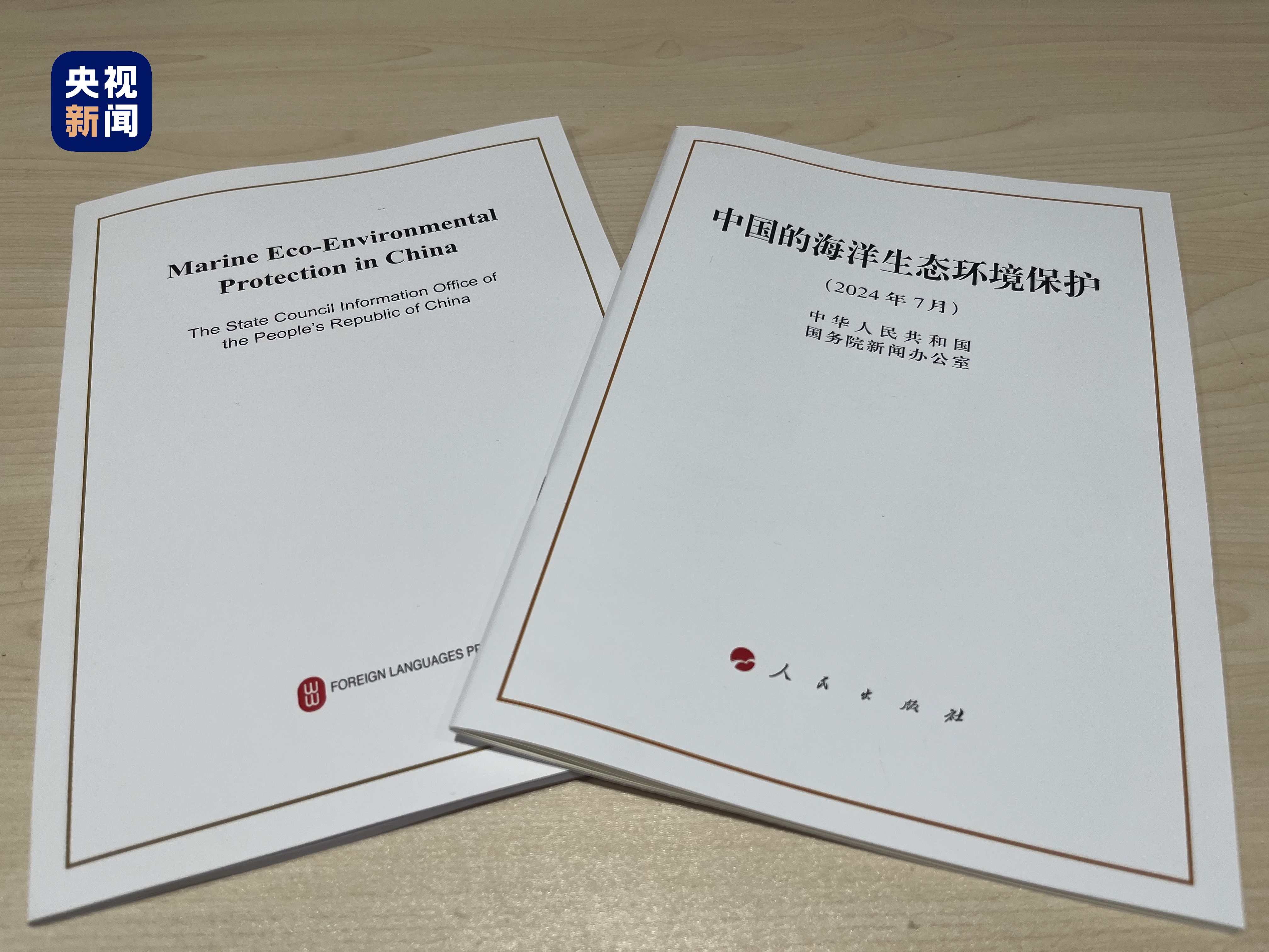 中国的海洋生态环境保护