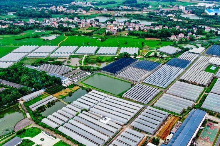  p>吉州区省级现代农业示范园位于江西省.