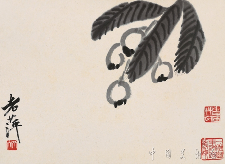 枇耙