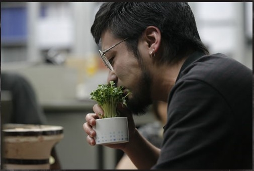 暗金丑岛 全网资源