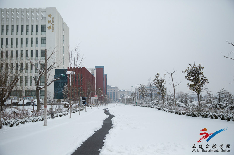  p> a href="#" data-lemmaid="2313016">五莲县实验学校 /a>是县委