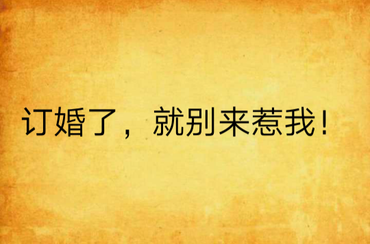 订婚了,就别来惹我!