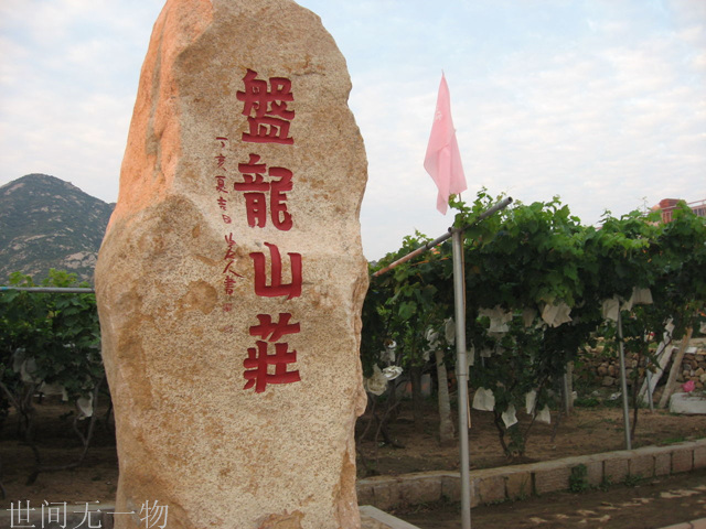 盘龙山庄