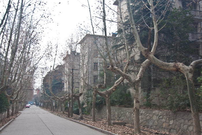 中国人民解放军海军医学高等专科学校