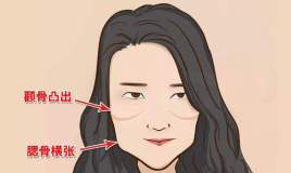 腮骨_百度百科