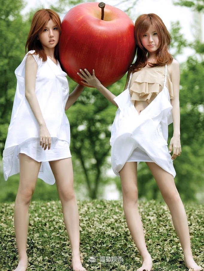 新加坡籍华语流行乐双胞胎女子组合,由姐姐 a target="_blank" href="