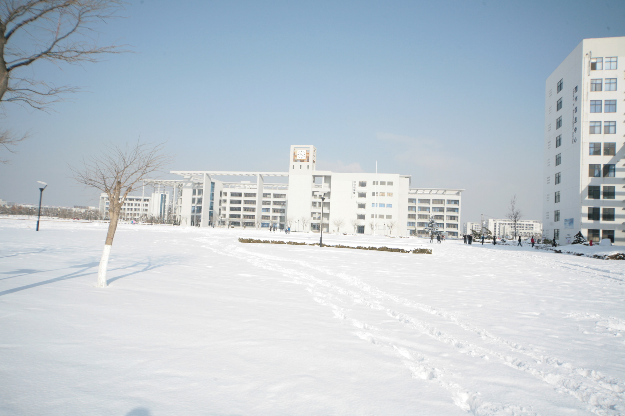  p>威海职业学院(weihai vocational college)是一所由 a target="