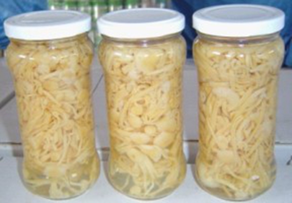 食品凝固剂