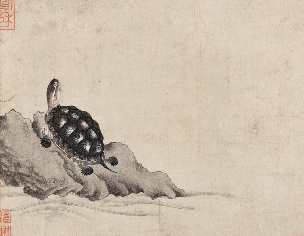 《水浒细节解密》之 这句骂人话背后，是古人2000年的知识误区_百科TA说