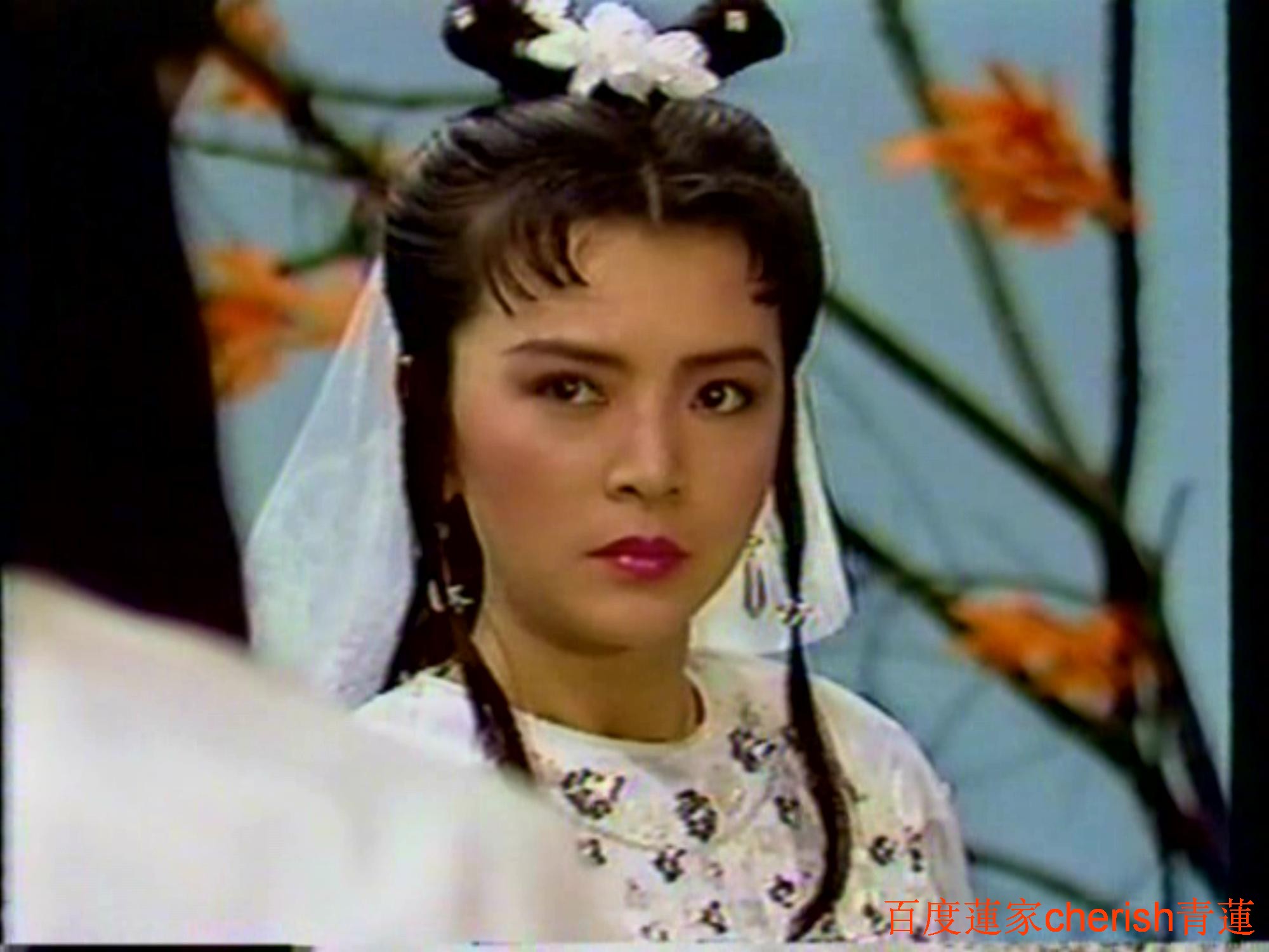  p>1988年台湾中视版《 a target="_blank" href="/item/射雕英雄传