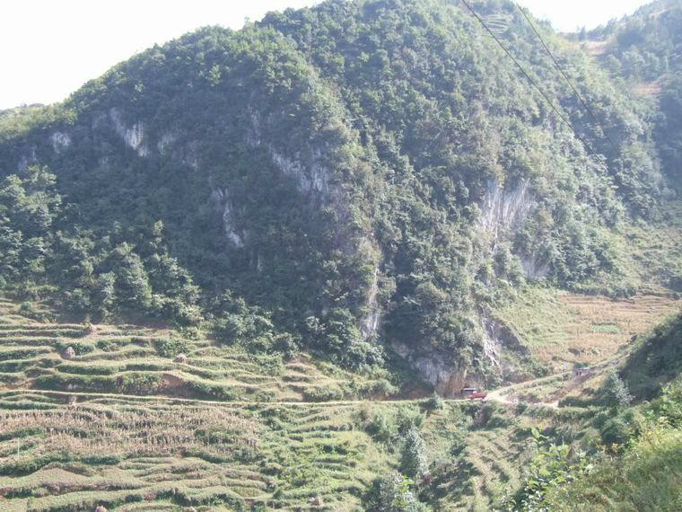 云南省/18664752" data-lemmaid="18664752">云南省 /a>昭通市镇雄县