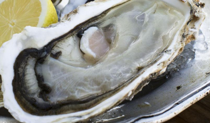  p>瓣鳃纲(lamellibranchia )是指 a href="#">软体动物门 /a>的一个 