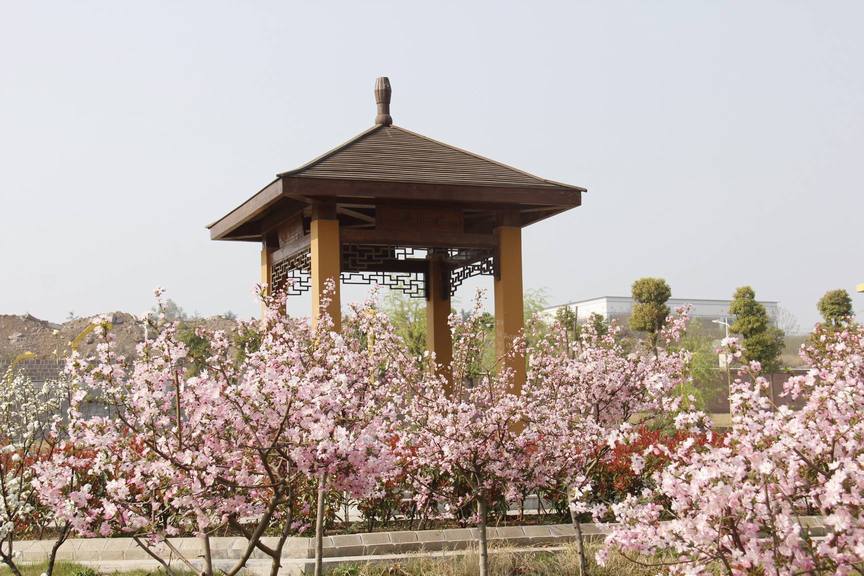 河南省平顶山市第一中学