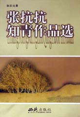 张抗抗知青作品选