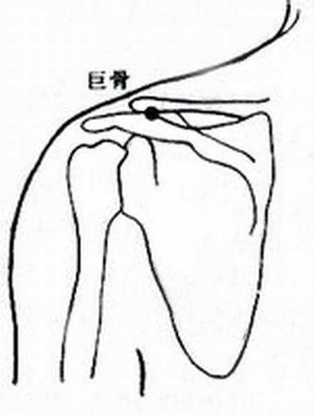 巨骨_百度百科