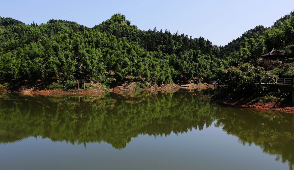 沐川国家级森林公园