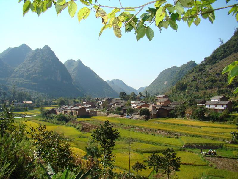 狗街下寨自然村