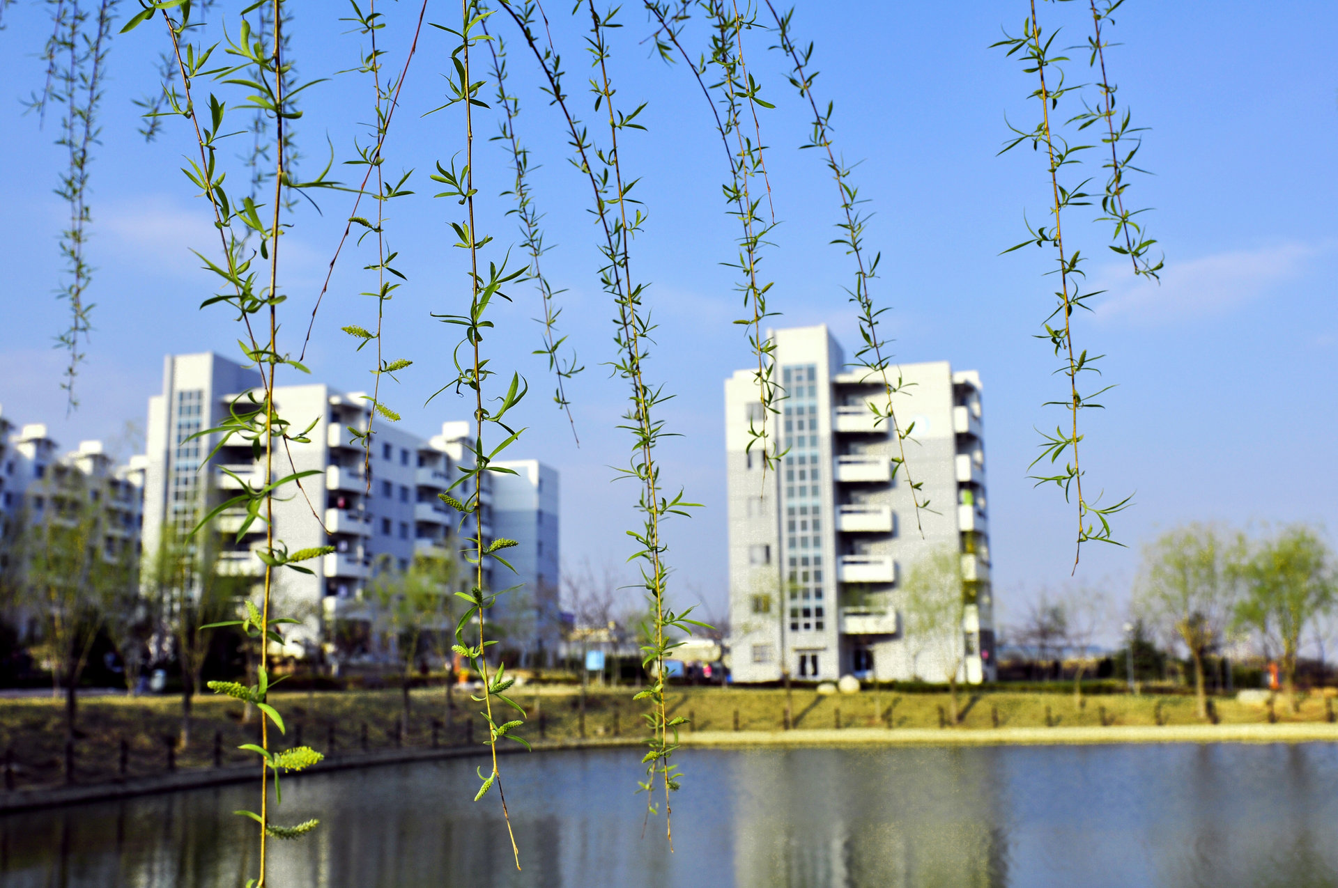  p>青岛酒店管理职业技术学院(qingdao vocational and technical