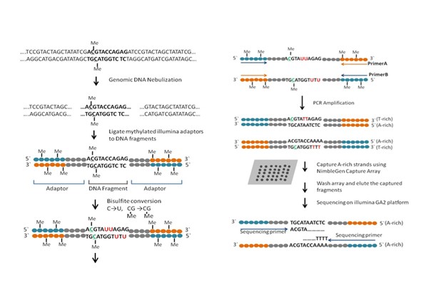 二代测序，二代测序技术