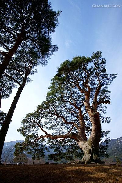 data-id="gnwgsbljg2">槐山郡是 a target="_blank" href="/item/韩国