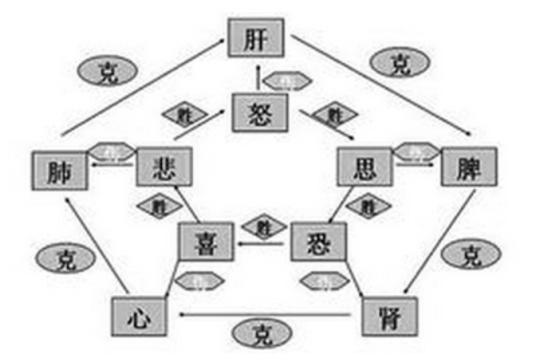 七情（基础理论名词）_百度百科