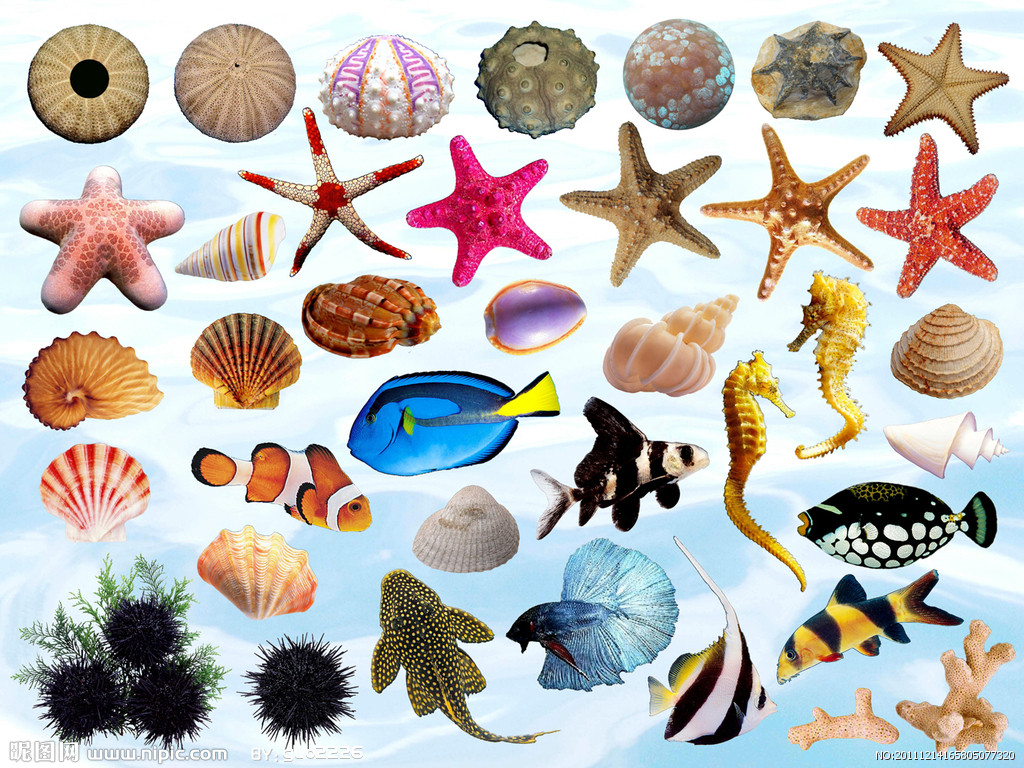  p>底栖生物(benthos)是指栖息于海洋或内陆水域底内或底表的生物,是