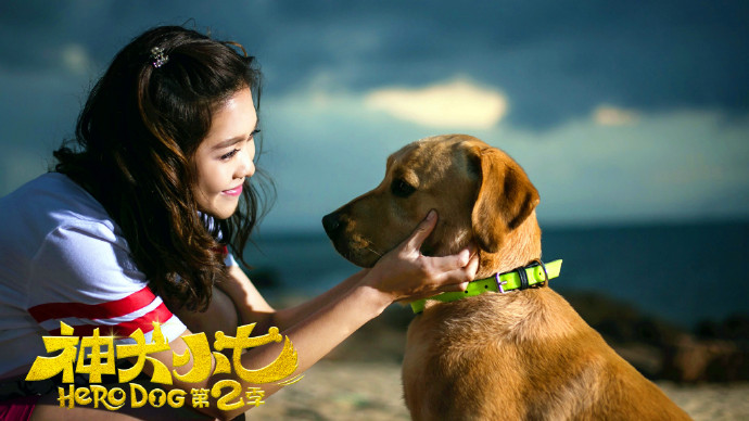 神犬小七第二季