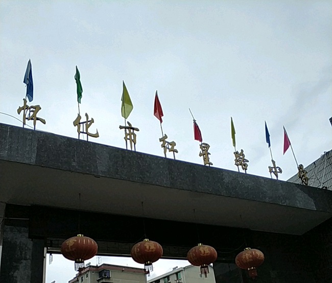怀化红星路小学