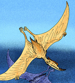 魏氏准噶尔翼龙